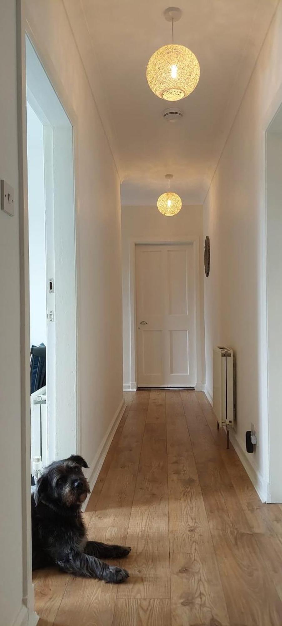 אדינבורו Lovely Sea Rooms, Easy Access To Centre & Airport מראה חיצוני תמונה